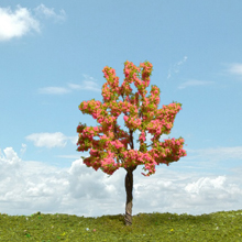 model trees